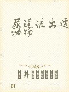 尿道流出透明分泌物封面