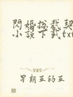 闪婚总裁契约妻小说下载txt