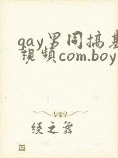 gay男同搞基视频com.boy封面