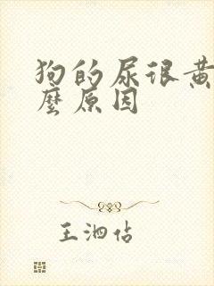 狗的尿很黄是什么原因