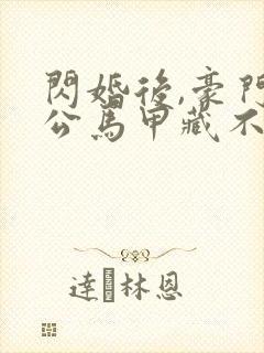 闪婚后,豪门老公马甲藏不住全集