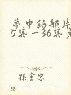 梦中的那片海35集一36集免费观看