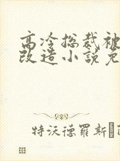 高冷总裁被催眠改造小说免费阅读