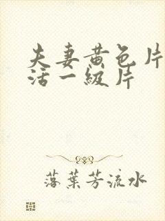 夫妻黄色片性生活一级片