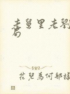 老舅里老刘的结局