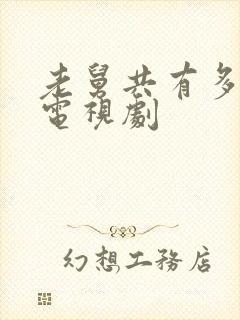 老舅共有多少集电视剧