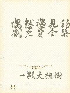 偶然遇见的你短剧免费全集免费播放封面