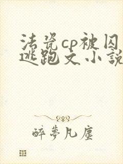 法瓷cp被囚禁逃跑文小说