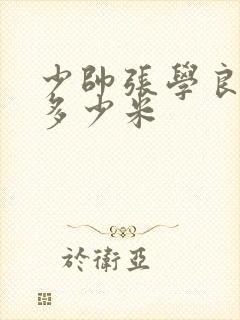 少帅张学良身高多少米