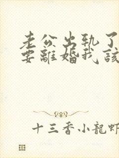 老公出轨了现在要离婚我该怎么做