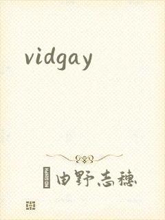 vidgay封面