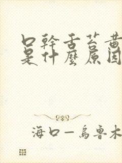 口干舌苔黄尿黄是什么原因