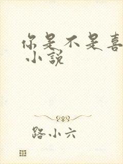 你是不是喜欢我 小说