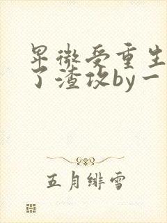 卑微受重生后成了渣攻by一人路过