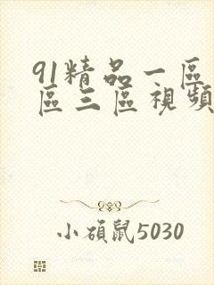 91精品一区二区三区视频播放封面