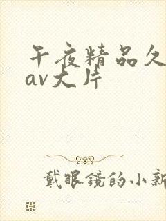 午夜精品久久久av大片