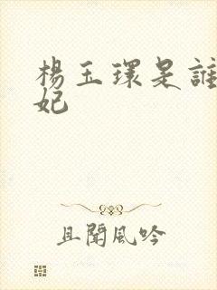 杨玉环是谁的贵妃