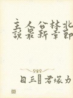 主人公林北的小说最新章节