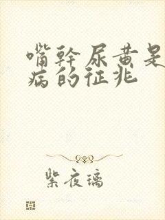 嘴干尿黄是什么病的征兆