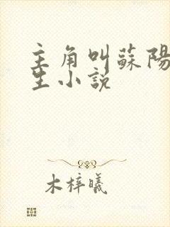 主角叫苏阳的重生小说