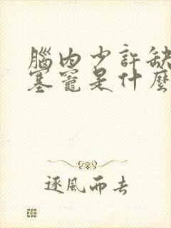 脑内少许缺血梗塞灶是什么意思封面