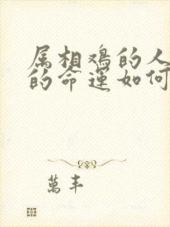 属相鸡的人一生的命运如何