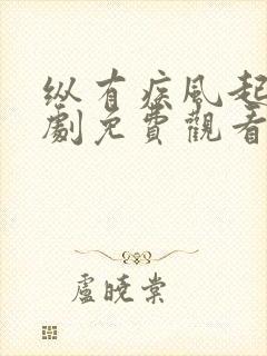 纵有疾风起电视剧免费观看完整版