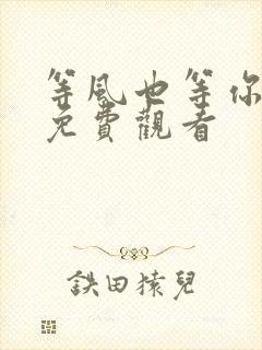 等风也等你短剧免费观看