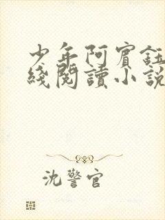 少年阿宾钰慧在线阅读小说txt封面