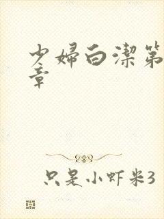 少妇白洁第36章