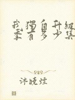 我独自升级第二季有多少集