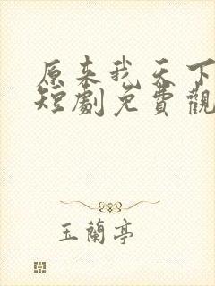 原来我天下无敌短剧免费观看