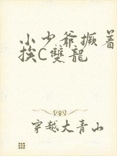 小少爷撅着屁股挨C双龙封面