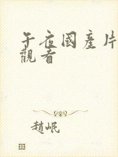 午夜国产片在线观看