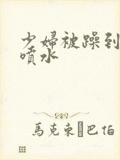 少妇被躁到高潮喷水