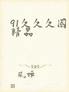 91久久久国产精品