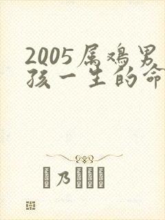 2005属鸡男孩一生的命运