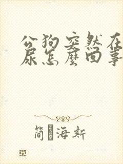 公狗突然在家乱尿怎么回事