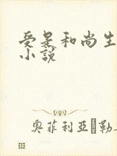 受是和尚生子的小说封面