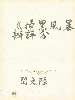 《扫黑风暴》豆瓣评分封面