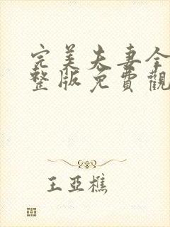 完美夫妻全集完整版免费观看封面