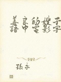 善良的嫂子2韩语中电影字