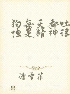 狗每天都吐黄水但是精神很好封面