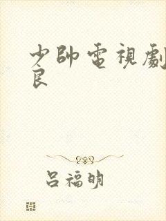 少帅电视剧张学良