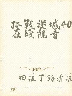 孤战迷城40集在线观看