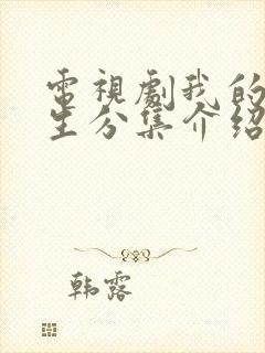 电视剧我的后半生分集介绍