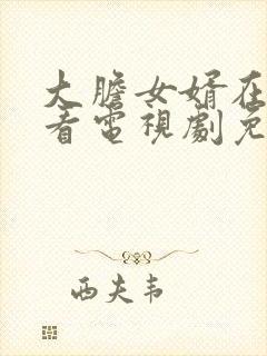 大胆女婿在线观看电视剧免费年轻的岳母