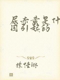 尿赤黄是什么原因引起的封面