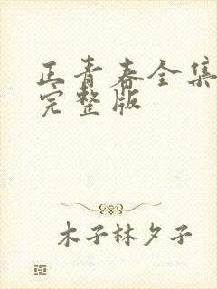 正青春全集免费完整版封面