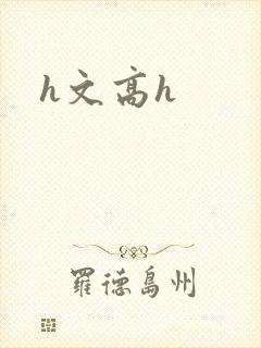 h文高h